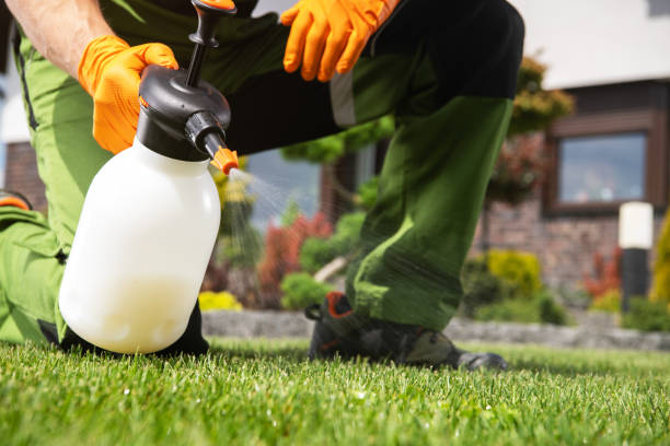 Reliable Clarks Summit, PA Pest Control Solutions