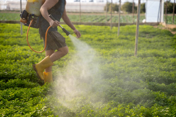 Best Wasp Removal Services  in Clarks Summit, PA