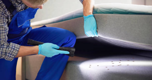 Wasp Removal Services in Clarks Summit, PA