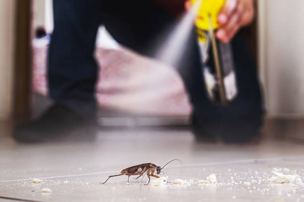 Best Wasp Removal Services  in Clarks Summit, PA