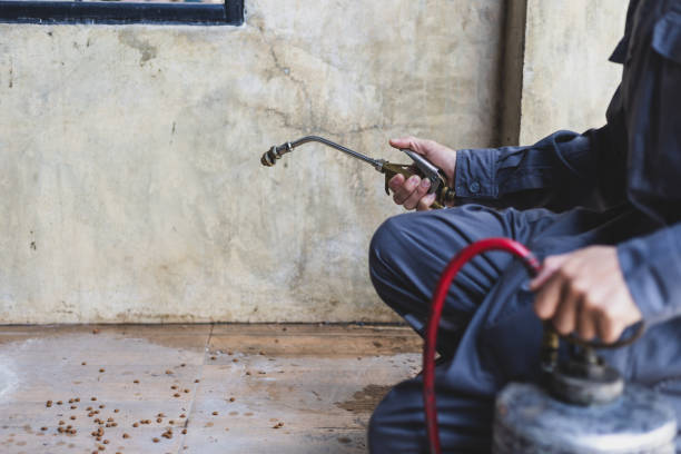 Best Local Pest Control Services  in Clarks Summit, PA